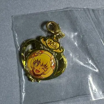 프리큐어 10th 메탈 참 큐어 선샤인