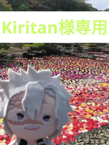 히메지마 교메이 세트