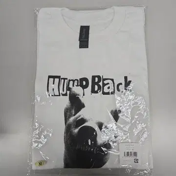 Hump Back T셔츠 M 사이즈 화이트 GILDAN 미개봉 새상품