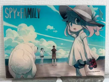 SPY x FAMILY전 박 아크릴 아트 [ 썸머 ]