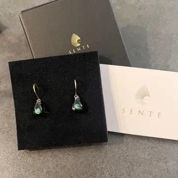 센테 오팔 귀걸이 K10