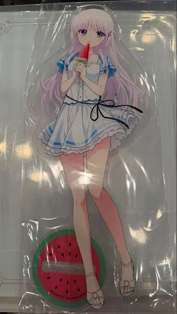 서머포켓 특대형 아크릴 스탠드 시로하