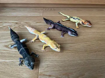 생물대도감 어드밴스 4체 세트 피규어 레오파 니시아프 크레스