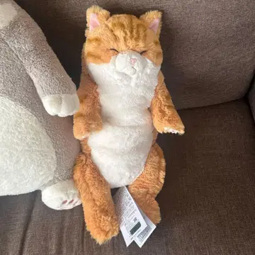 무릎 고양이 봉제 인형