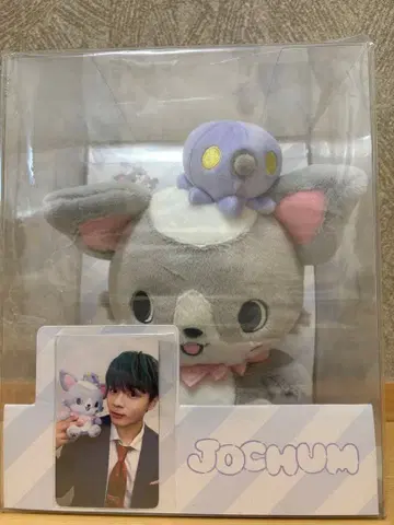 JO1 JOCHUM 츄라라와 포토카드