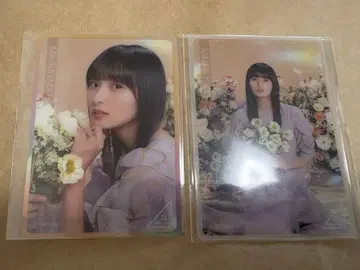 노기BOX 노기자카46 Blooming Fairy town 엔도 사쿠라