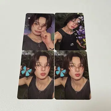 &team k ROAR 트레이딩 카드