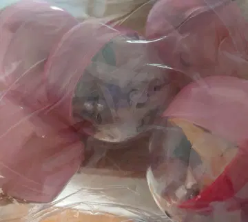 [새상품] 캡슐 토이 저쪽 손님으로부터 입니다 풀 컴프 세트