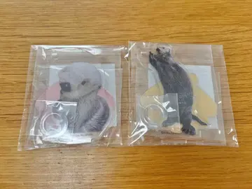 도바 수족관 카푸쿠지 펜 스탠드