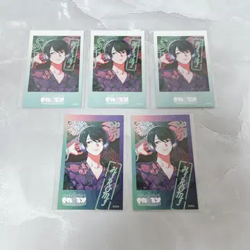 vs ambivalenz 비바렌 히로미 폴라로이드 리스파