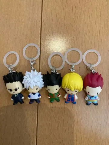 HUNTER x HUNTER 메지루시 액세서리 컴프 세트