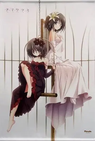 레어 아마츠츠미 B2 태피스트리 중고품