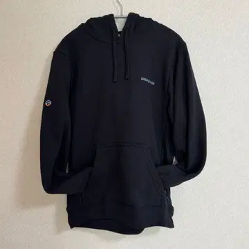 파타고니아 피츠로이 아이콘 업라이저 후디 후드티