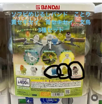 소프비 메지루시 밴드 코토리 (노랑 세키세이 파랑 세키세이 문조) 세트