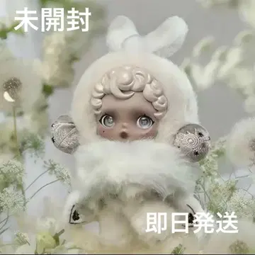 SKULLPANDA 스컬팬더 L'impressionnisme