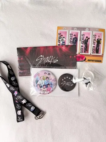 Stray Kids 돔 투어 업그레이드 오리지널 굿즈