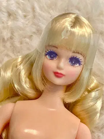 즐거운 인형 제시카 리카짱 캐슬