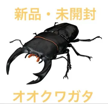 생물대도감 어드밴스 사슴벌레 02 오오쿠와가타