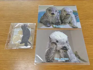 도바 수족관 캡슐 복권 펜 스탠드 브로마이드