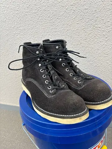 레드윙 라인맨 2900