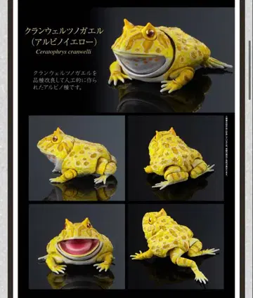 생물대도감 어드밴스 크랜웰 우파루파 피규어