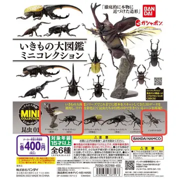 생물대도감 미니 곤충 01 야마토장수풍뎅이 톱사슴벌레 3체