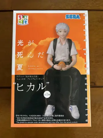 [ 미개봉 새상품 ] 빛이 죽은 여름 히카루 프리미엄 피규어