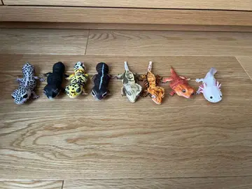 생물대도감 쁘띠 8체 세트 피규어