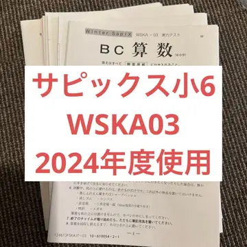 초6 개성 대책 WSKA03