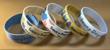 SaucyDog 러버 밴드 5개 세트