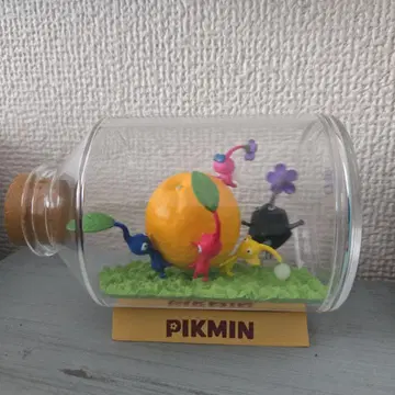 피크민 테라리움 컬렉션 운반