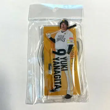 야나기타 유키 선수 아크릴 스탠드 캡틴 야나기타