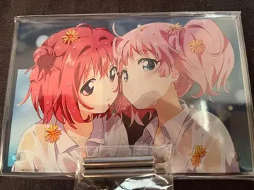 유루유리&오오무로가 아크릴 포트레이트 아카리 치나츠