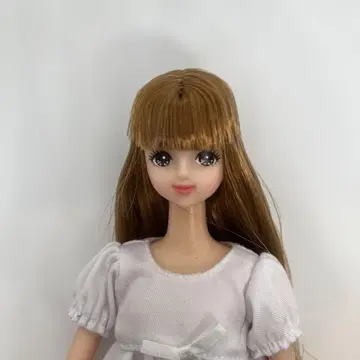 제니 프렌드 미라이 ECD 인형 이벤트 한정 판매 리카짱 캐슬