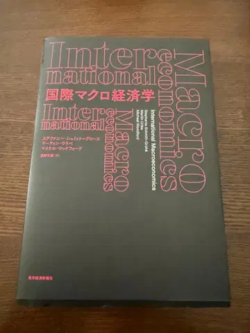 국제 거시경제학