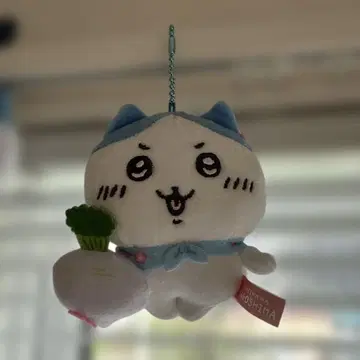 [ 가고시마 한정판 ] 하치와레