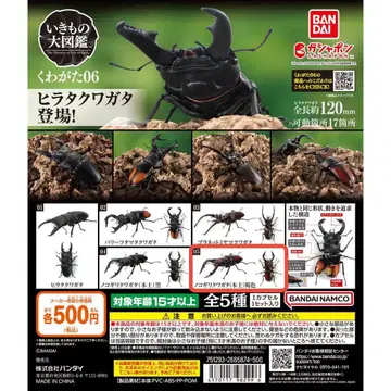 생물대도감 장수풍뎅이 06 넓적사슴벌레 (본토) 갈색