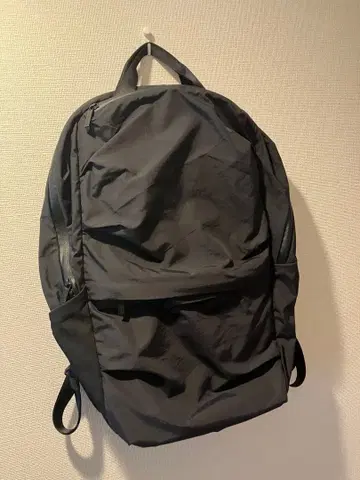 댄스킨 빅 데이팩 29L