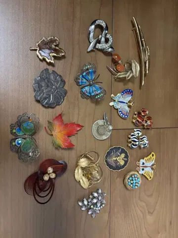 다양한 디자인의 브로치 세트