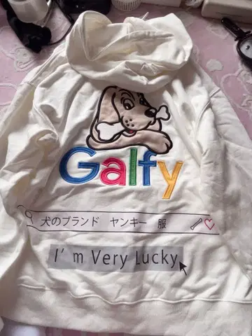 GALFY 갈피 후드티
