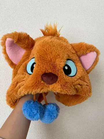 디즈니 리조트 루즈 팬캡