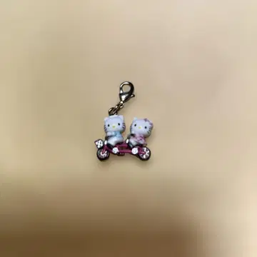 지역 한정 키티 참 가루이자와 자전거