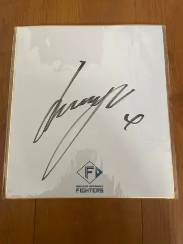 닛햄 카미카와바타 다이고 사인 색지