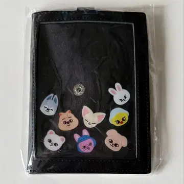 Stray Kids 5-STAR 돔투 아크릴 스탠드 케이스