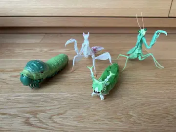 생물대도감 4체 세트 애벌레 사마귀