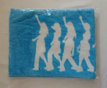 새상품 KARA [ 미스터 출시 기념 굿즈 ] 머플러 타월