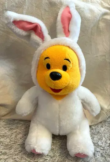 디즈니 곰돌이 푸 토끼 인형옷 ver.