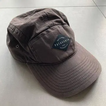 Patagonia 캡 페이드