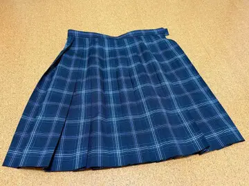 네이비 체크 무늬 플리츠 스커트