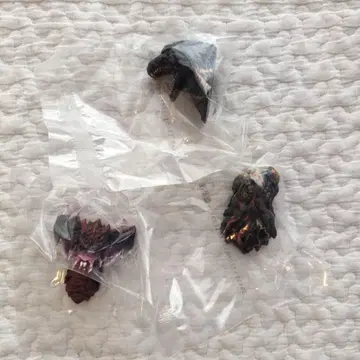 고질라 제일복권 E상 몬스터 헤드 마그넷 3종